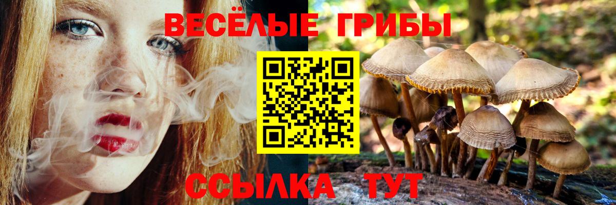 Псилоцибиновые грибы Cubensis  Вход с VPN  Галлюциногенные грибы Psilocybine cubensis  Пенза 
